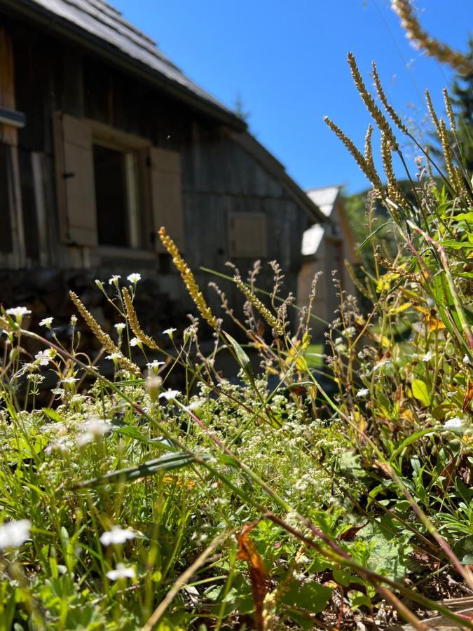 Chalet Velika Planina - I Feel Alps Stahovica المظهر الخارجي الصورة