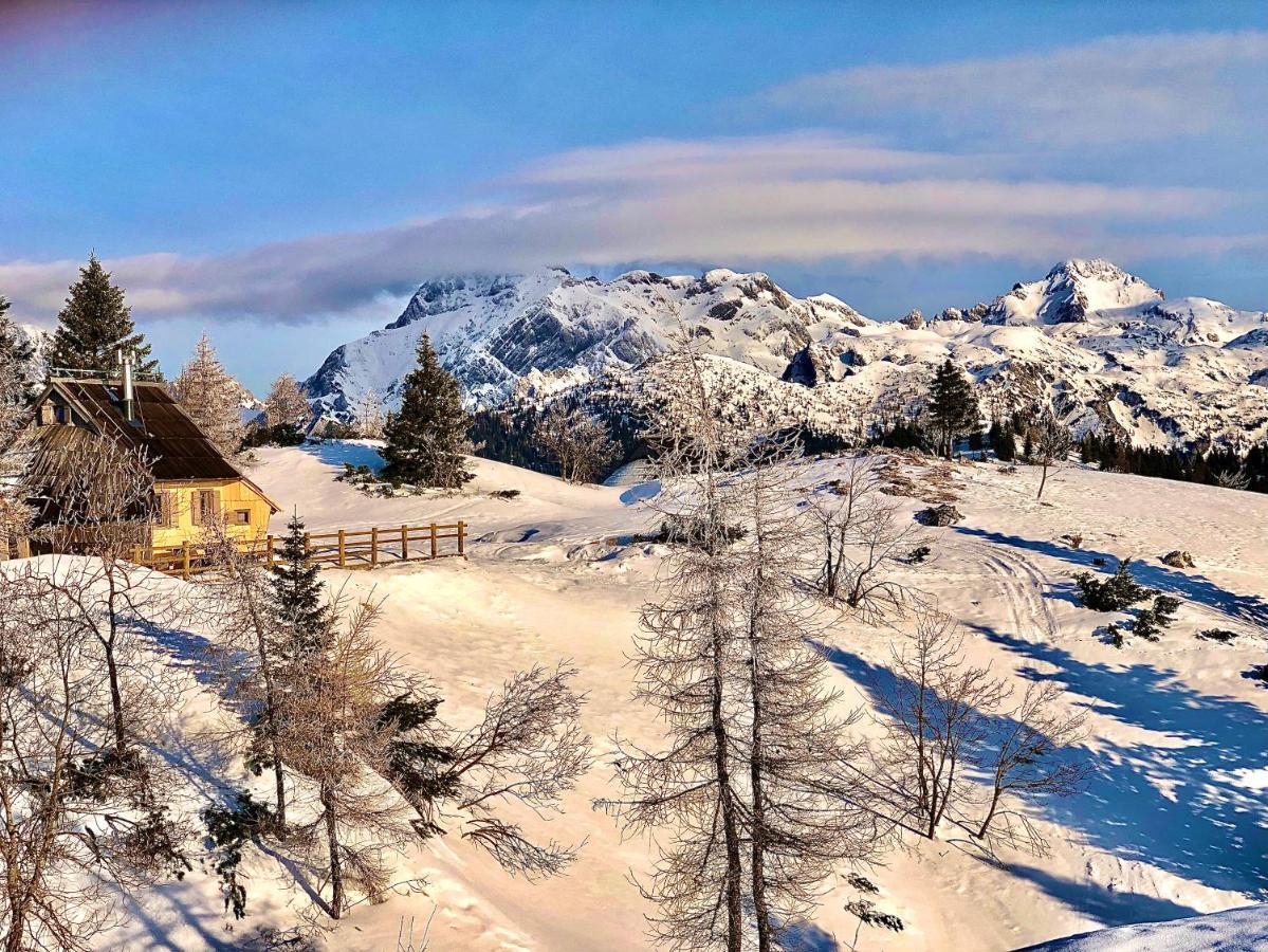 Chalet Velika Planina - I Feel Alps Stahovica المظهر الخارجي الصورة